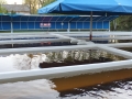 Maďarsko - jihovýchod, info-cesta ACK 