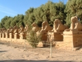 Velký okruh Egyptem