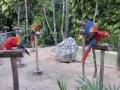 Infocesta do Mexika, na Yucatán