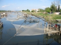  Natur Travel - news 06.01.11