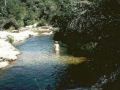 Z056 - U Furu / Korsika