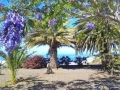 Z095 - La Palma Natura / La Palma