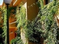 Z090 - Naturplaya / Mallorca
